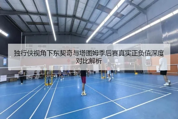 独行侠视角下东契奇与塔图姆季后赛真实正负值深度对比解析